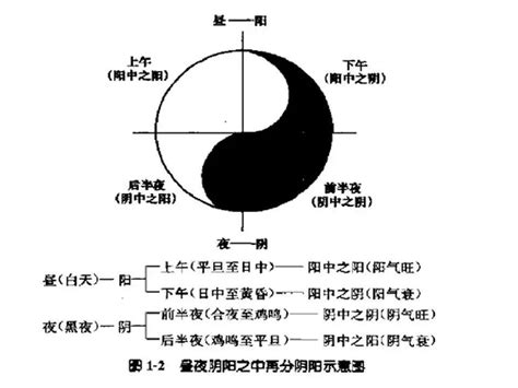 互根互用|中医基礎理論用語ーー「陰陽五行」③ : 日本中医学院ブログ